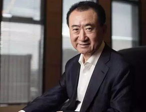 万达企业是否为私企?