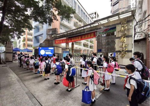 越秀区小学排名