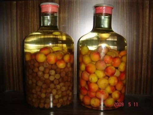 李子酒的作用与功效?