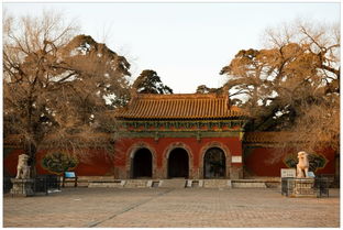 沈阳福陵，沈阳福陵平面图