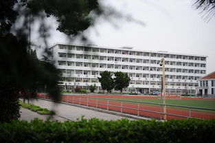 上海科学技术学院分数线