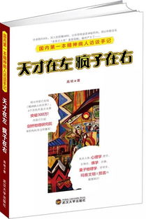 天才在左疯子在右读后感，天才在左疯子在右读后感500字