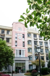 上海市延安初级中学，上海市延安初级中学官网