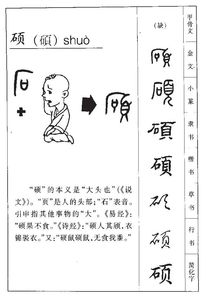 “硕硕”和“硕硕不乖”。“硕主任”这三个词是什么意思??