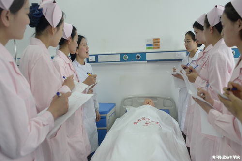 护理实习