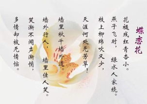 天涯何处无芳草打一成语，天涯何处无芳草打一成语电脑主机后面黄灯闪烁不开机