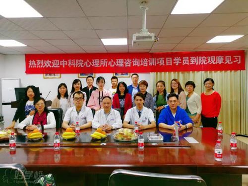 四川考试院教育官网为什么查不到自考成绩