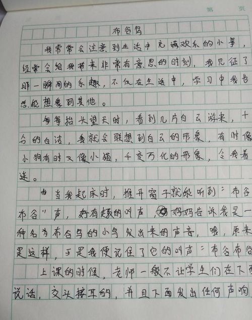 我的植物作文