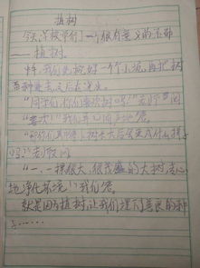 二年级植树作文100字，二年级植树作文100字以上