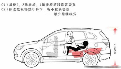 “车震”是在网上看到的一个新名词,“车震”是什么意思啊?