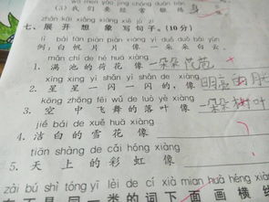 什么的田野?