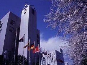 东京国际大学，东京国际大学世界排名