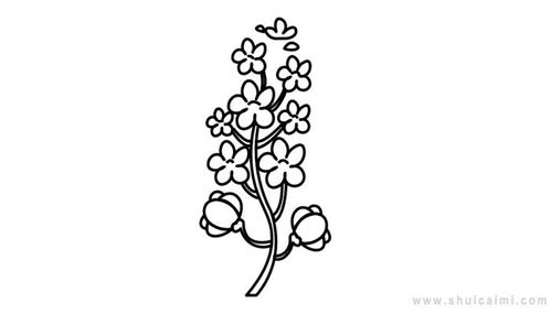 油菜花图片简笔画，油菜花图片简笔画儿童