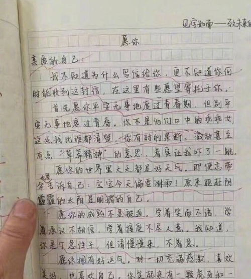我的新老师初中作文，我的新老师初中作文500字