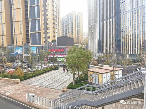 青岛商务管理学院，青岛商务职业技术学院