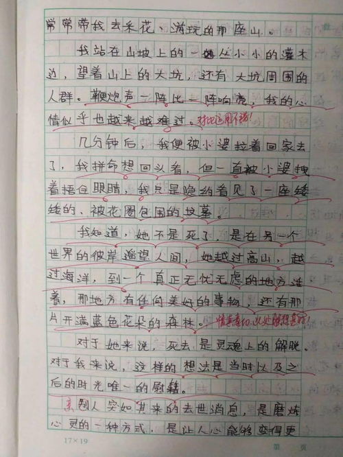我们的学校作文