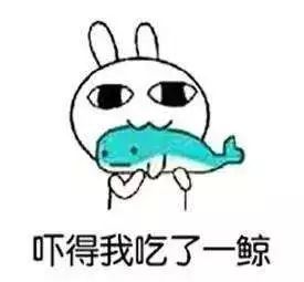 一路走来,我们用自己的善良喂饱了不少没良心的人。人生短暂,我们只想