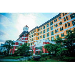 www.gdcjxy.com:广东海洋大学寸金学院教务网