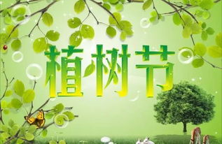植树节的由来有哪些