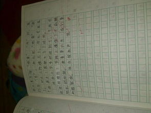 一件难忘的事400字作文