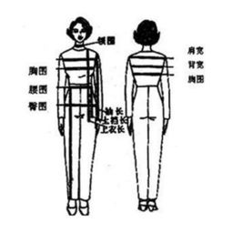 160的女孩标准肩宽
