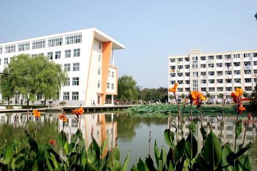信阳师范学院录取分数线