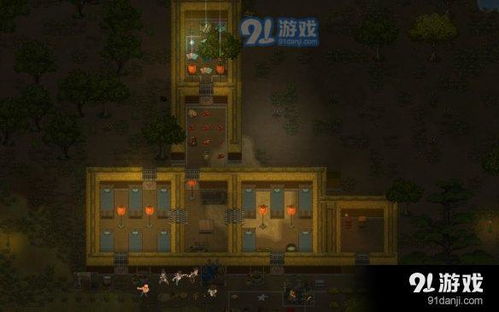 弥留什么意思