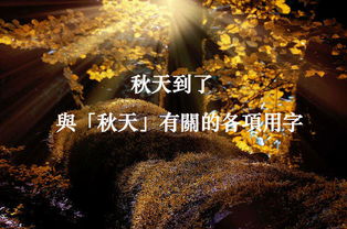 秋天的英语怎么读 秋天的英文介绍