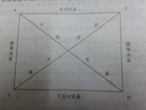 上反对关系，反对关系是啥