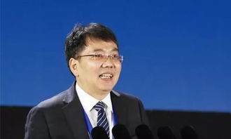 丁汉，丁汉白纪慎语