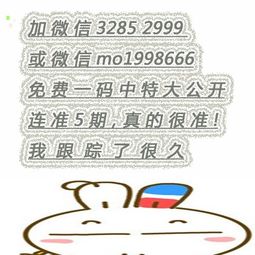 今天晚上开什么生肖，今天晚上开什么生肖答案
