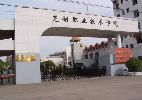 单招芜湖职业学校录取率高吗