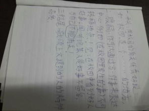 以新为主题的作文，以新为主题的作文题目自拟
