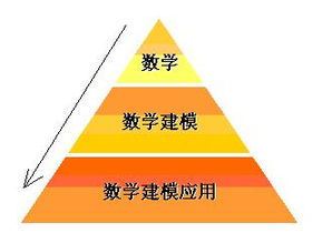 数学分支