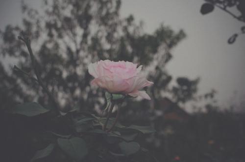 安慰朋友节哀顺变的暖心句子
