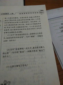 x义x言四字成语