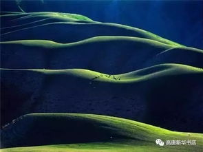 猜谜语:全部溶解 (地名)谜底是什么?