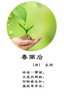 描写春雨的词语有哪些