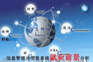 信息管理与信息系统专业就业方向