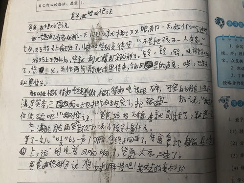 写秋天的作文
