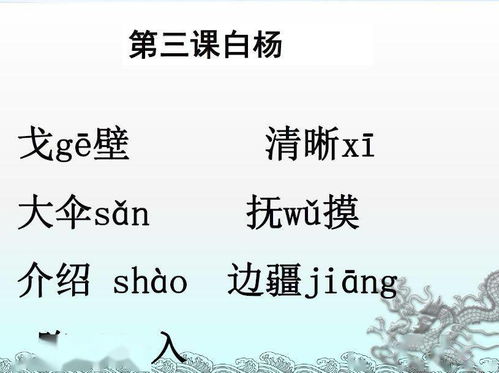 出生是什么意思