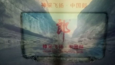 神采飞扬的意思是什么