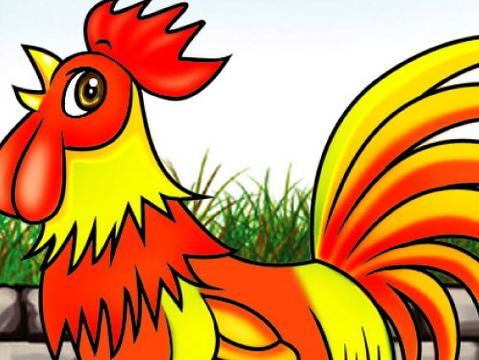 属鸡人是什么命