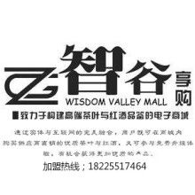 北京国汽智联好进吗