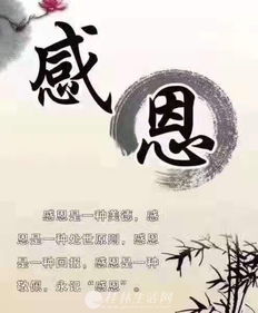 有关感恩的名人名言有哪些
