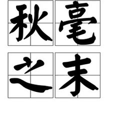 秋毫之末，秋毫之末造句