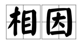 字谜:双木不成林打一字
