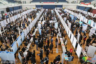 郑州大学招聘会