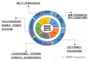 网络开发，网络开发是什么