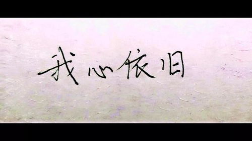我心依旧作文